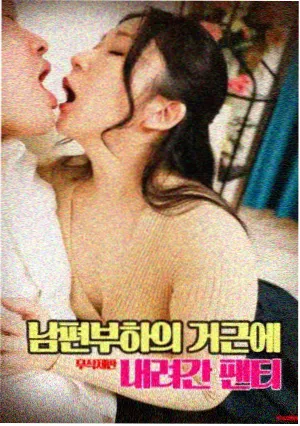 悬疑电影雾港迷案封面图